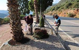Kaş’ta peyzaj çalışmalarında 4 bin 625 bitki...