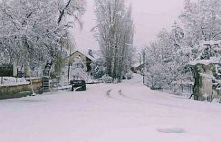 Kaş’ta yüksek kesimlerdeki yollarda karla mücadele...