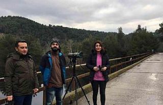 Kastabala sulak alanında kış ortası su kuşu sayımı