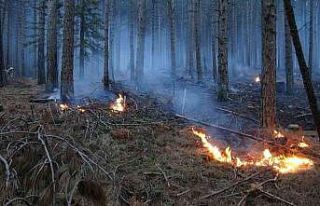 Kaz Dağları’ndaki örtü yangını kontrol altına...