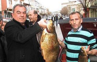 Kebap diyarında balık avlayarak geçimlerini sağlıyorlar