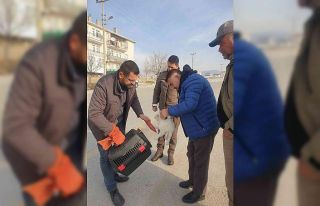 Kedinin imdadına HAYDİ ekipleri yetişti
