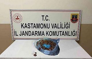 Kestane poşetinde ecstasy hap ile yakalanan şüphelilerden...