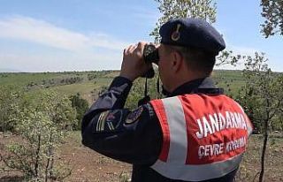 Kırıkkale’de saha denetimi yapan jandarma, avcıları...