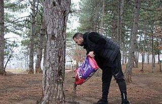 Kırsaldaki sokak hayvanları unutulmadı