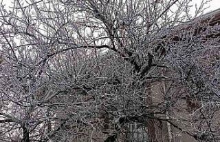 Kırşehir’i sis kapladı