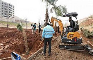 Kito deresinde ağaçlandırma devam ediyor