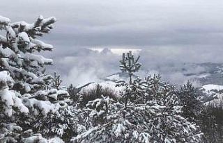 Kızlan Yaylası’nda beyaz güzellik