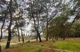 Kolları ve kafası olmayan ceset gizemini koruyor