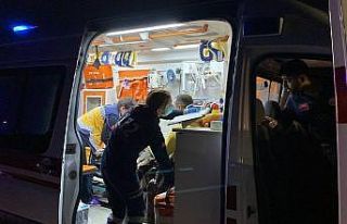 Köpeğe çarpmamak için manevra yaptı, çöp kutusuna...