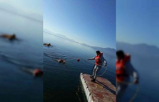 Köyceğiz Gölü’nde güvenlik uygulama eğitimleri...