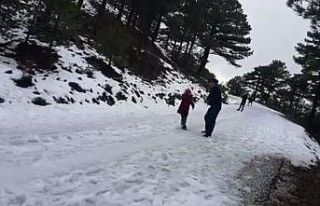 Köyceğiz’de Yayla Mahallesi - Beyağaç yolu buzlanma...