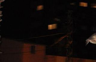 Kozan’da yarasa korkusu