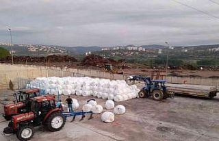 Küçükbaş hayvan üreticilerine ücretsiz silaj...