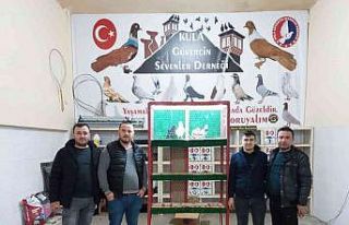Kula’da ’Güvercin Sevenler Derneği’ kuruldu