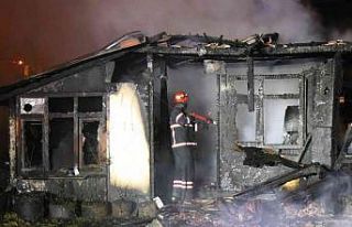 Kullanılmayan barakada yangın çıktı, 1 yavru...