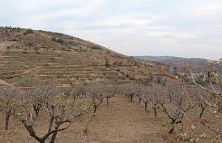 Kuraklık baş gösterdi, çiftçilere yağmur duasına...
