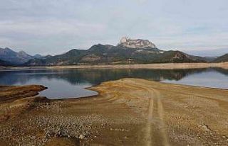 Kuraklık tehlikesi: Adana Kozan Barajında su seviyesi...