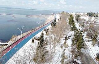 Kuraklık tehlikesiyle karşı karşıya olan Beyşehir...