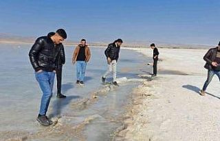 ‘Kuş Cenneti’ Arin Gölü dondu