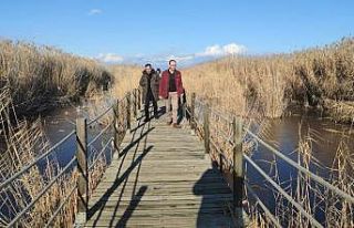 "Kuş cenneti" buz tuttu