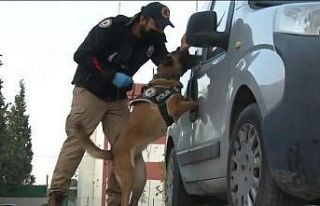 Manisa’da bir haftada uyuşturucudan 99 gözaltı...