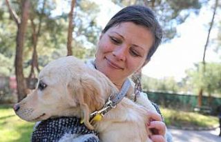 Marmaris’te 220 can sahiplendirildi