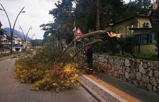 Marmaris’te fırtına ve sağanak yağış etkili...