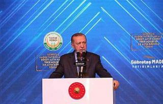 Mart ayı sonunda Karadeniz gazını hanelere verilmeye...