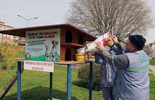 Menteşe Belediyesi sokaktaki can dostları unutmadı