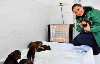 Mersin’de bin 100 patili dosta sıcak yuva sağlandı