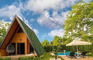 ‘Millet Bahçesi’ yatırımları hızlanıyor