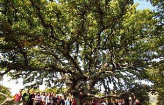 Milli Park davasında verilen karara doğaseverleri...