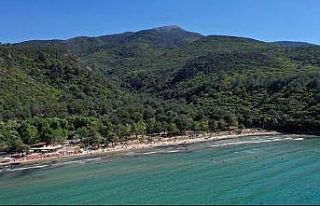 Milli Park İşletmecisi Göl’den açıklama: "Çıkan...