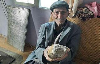 Milyonlarca yıllık arı peteği fosili buldu