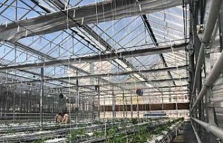 Modern seralara 7 milyon liraya kadar hibe desteği