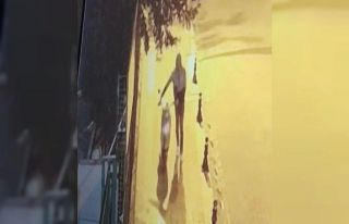 Motosiklet hırsızı güvenlik kamerasına yakalandı