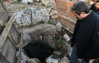 Muğla Valisi Tavlı Idyma Antik Kentinde incelemelerde...