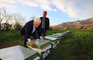 Muğlalı bal üreticisine Büyükşehir’den destek