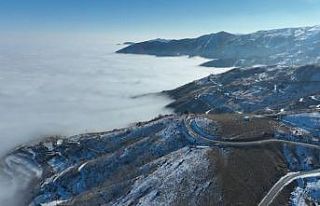 Muş Ovası sis altında