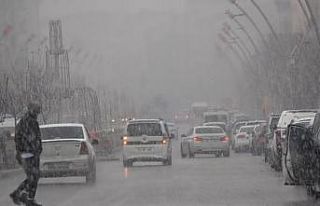 Muş’ta kar yağışı sevinçle karşılandı