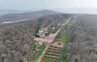 O merkez sahipsiz canlara umut olmaya devam ediyor