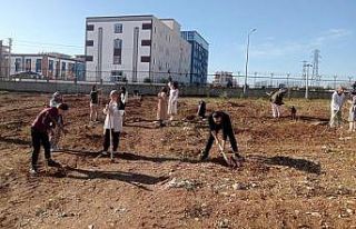 Öğrenciler yurt bahçesine fidan dikti
