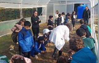 Okul bahçesi sera alanı oldu: Teneffüste tarım...