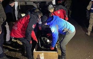 Ordu’da kayıp ihbarı yapılan vatandaşın cansız...