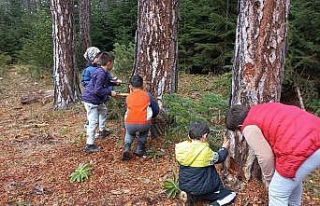 Orman içerisinde ders işliyorlar