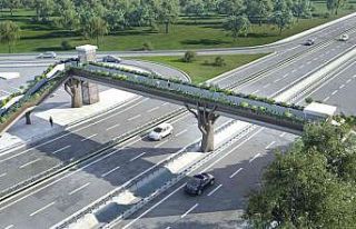 Ormanya’ya doğa temalı üst geçit