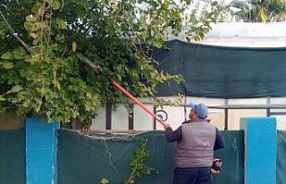 Ortaca’da yeşil alanlarının mevsimsel bakımları...