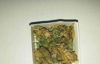 Otobüste seyahat ederken uyuşturucu ile yakalandılar