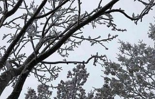 (ÖZEL) Eskişehir’de etkili olan kırağı eşsiz...